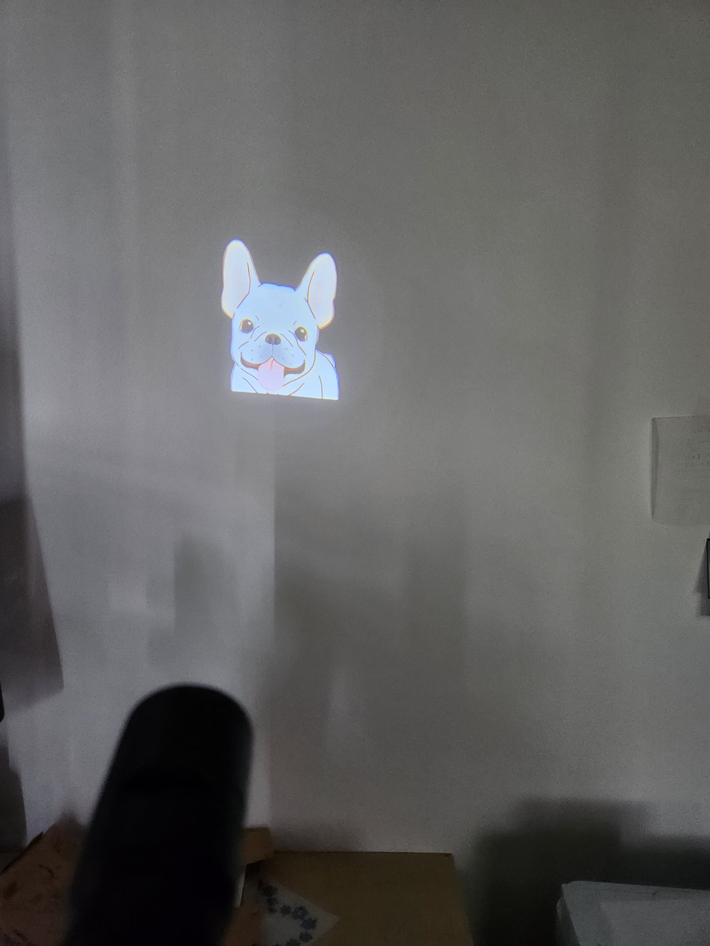 プロジェクションライト