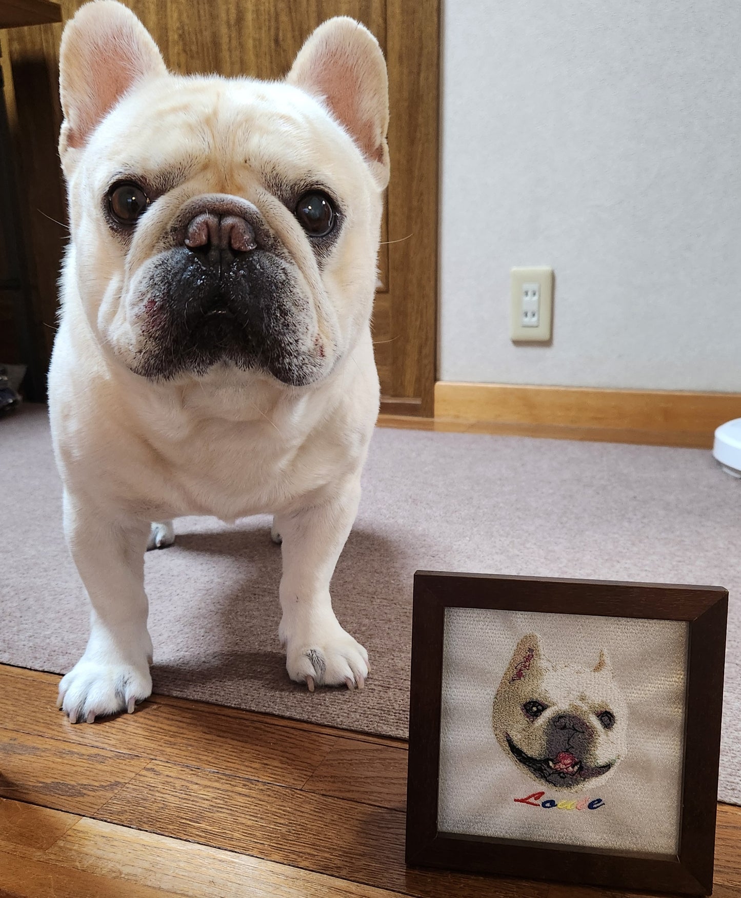 This is a drawing embroidery ticket. It can be used as a gift or for home use.