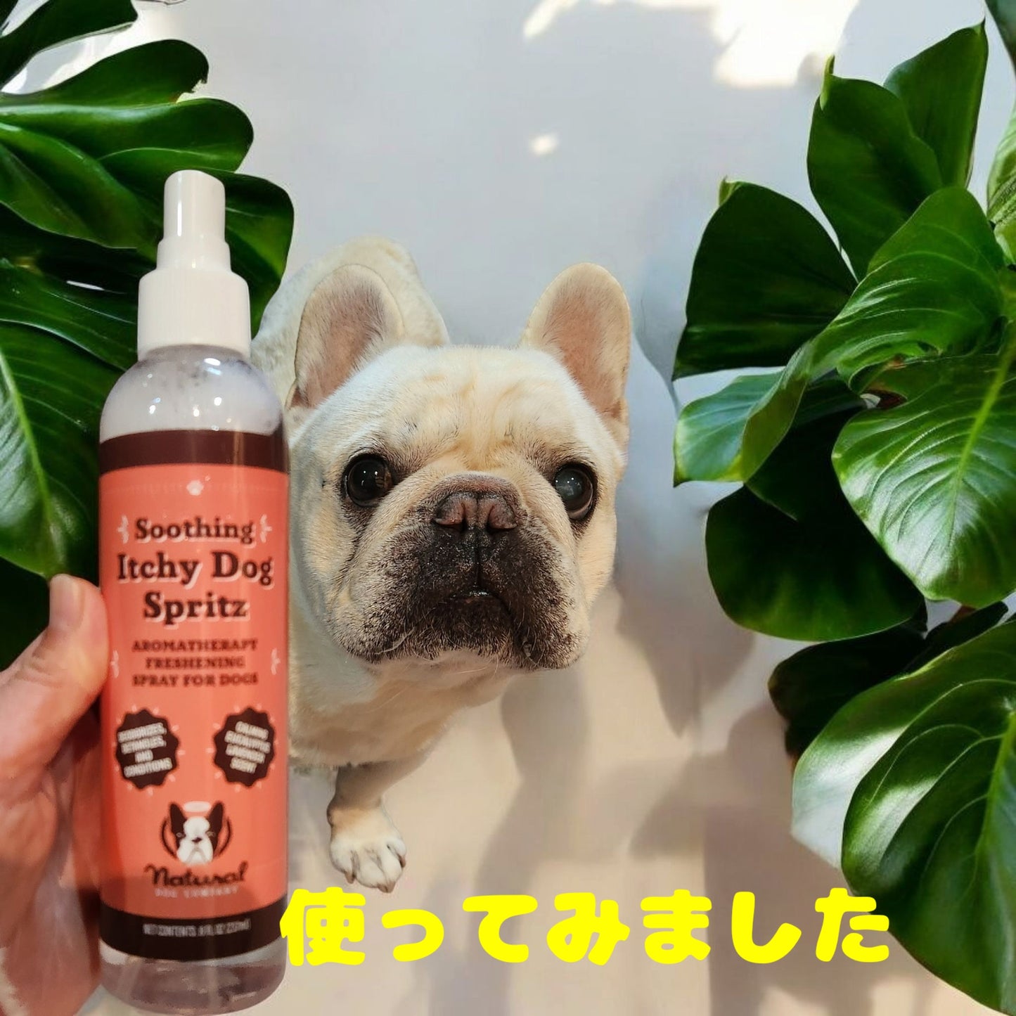 Natural Dog Company かゆみ用スプレー
