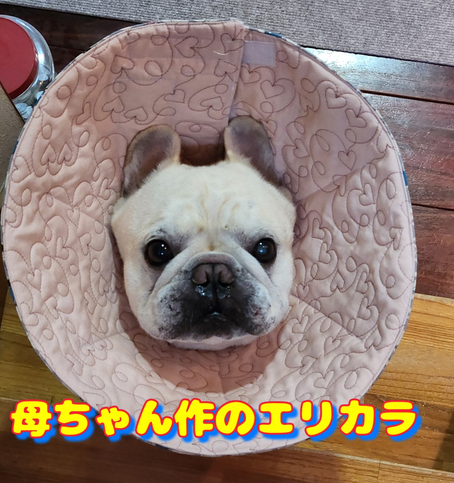 エリカラなんてもう呼ばせない!生地が選べるオカラ OKARA!