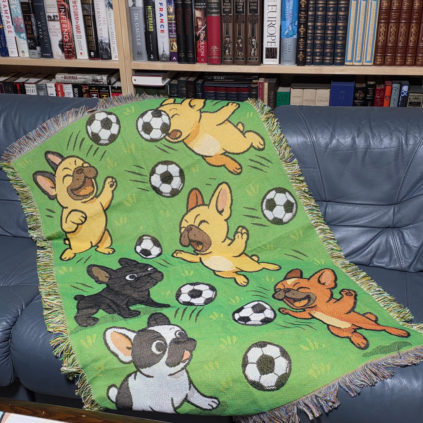 フレンチブル in サッカーパラダイス・スローケット(リバーシブル)