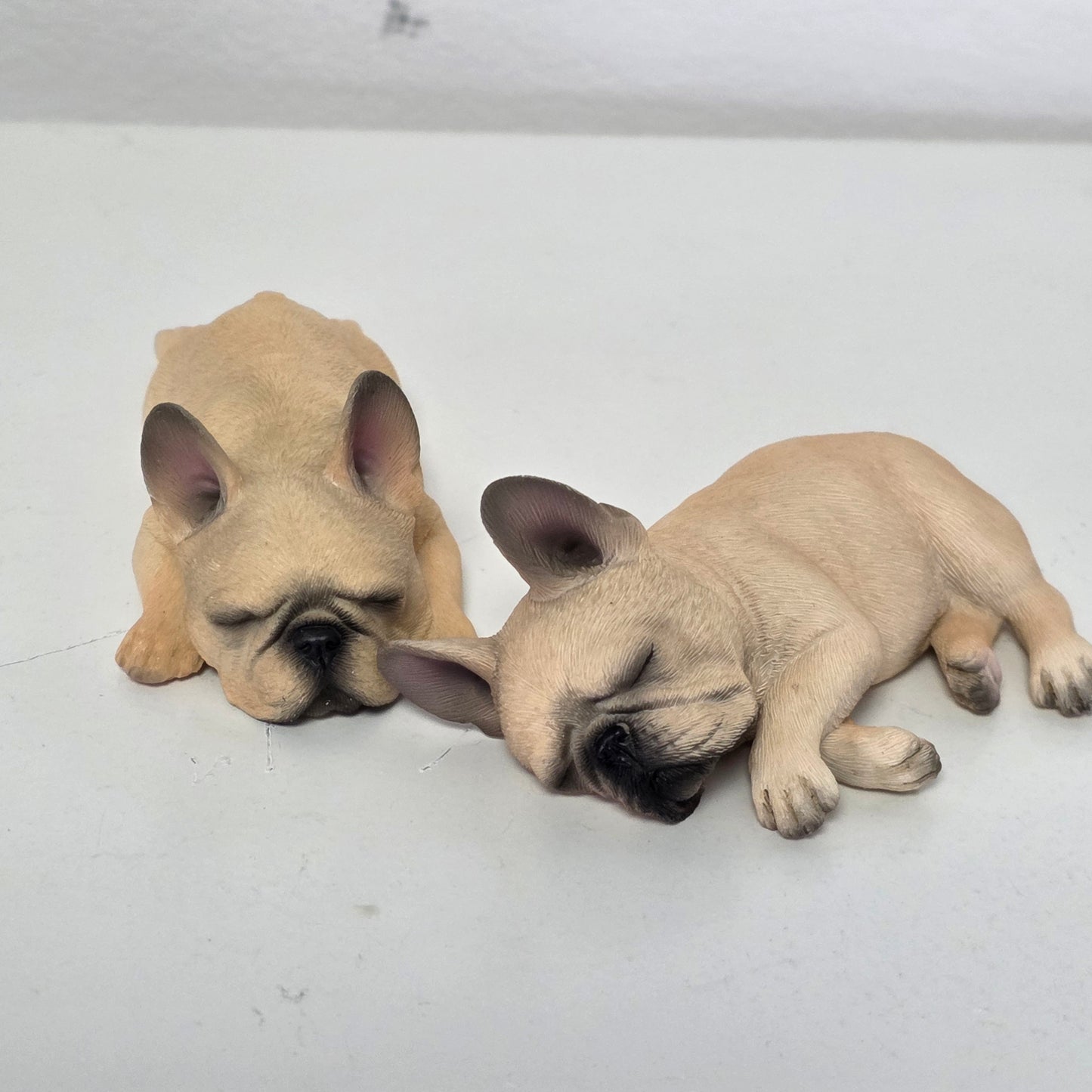 I want it! French bulldog