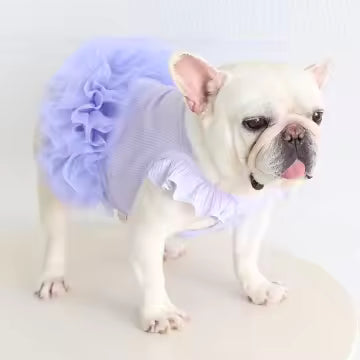 主役になれるチュチュドレス