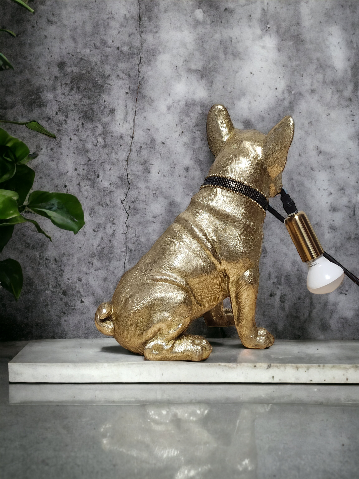 ヨーロピアン最新モデルライト 一押し商品!