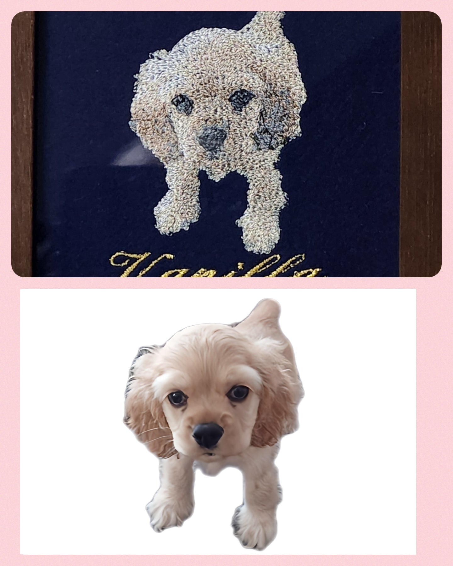 This is a drawing embroidery ticket. It can be used as a gift or for home use.