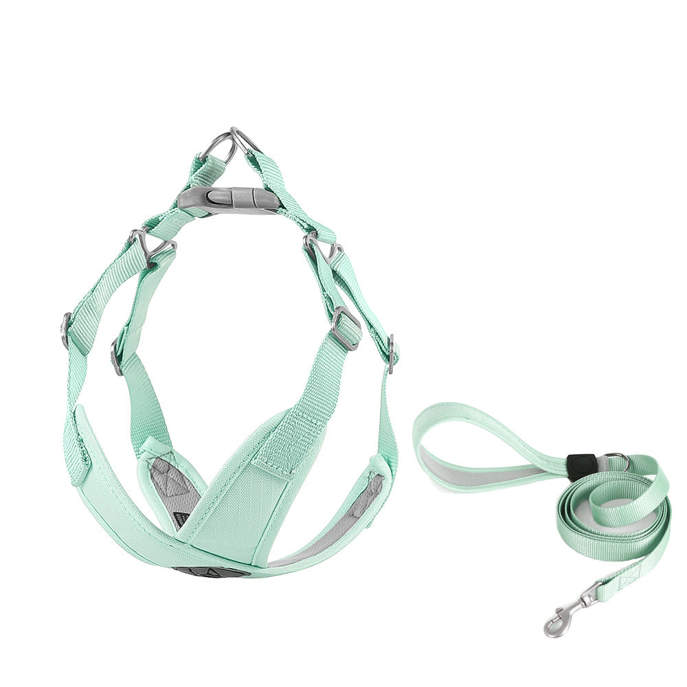 Ensemble de harnais/laisse Summer Macaron Color Step-in