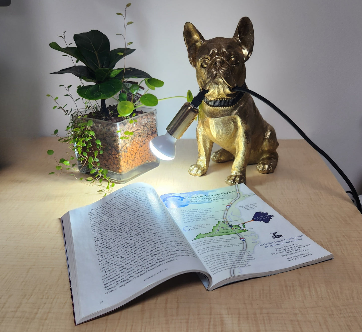 ヨーロピアン最新モデルライト 一押し商品!