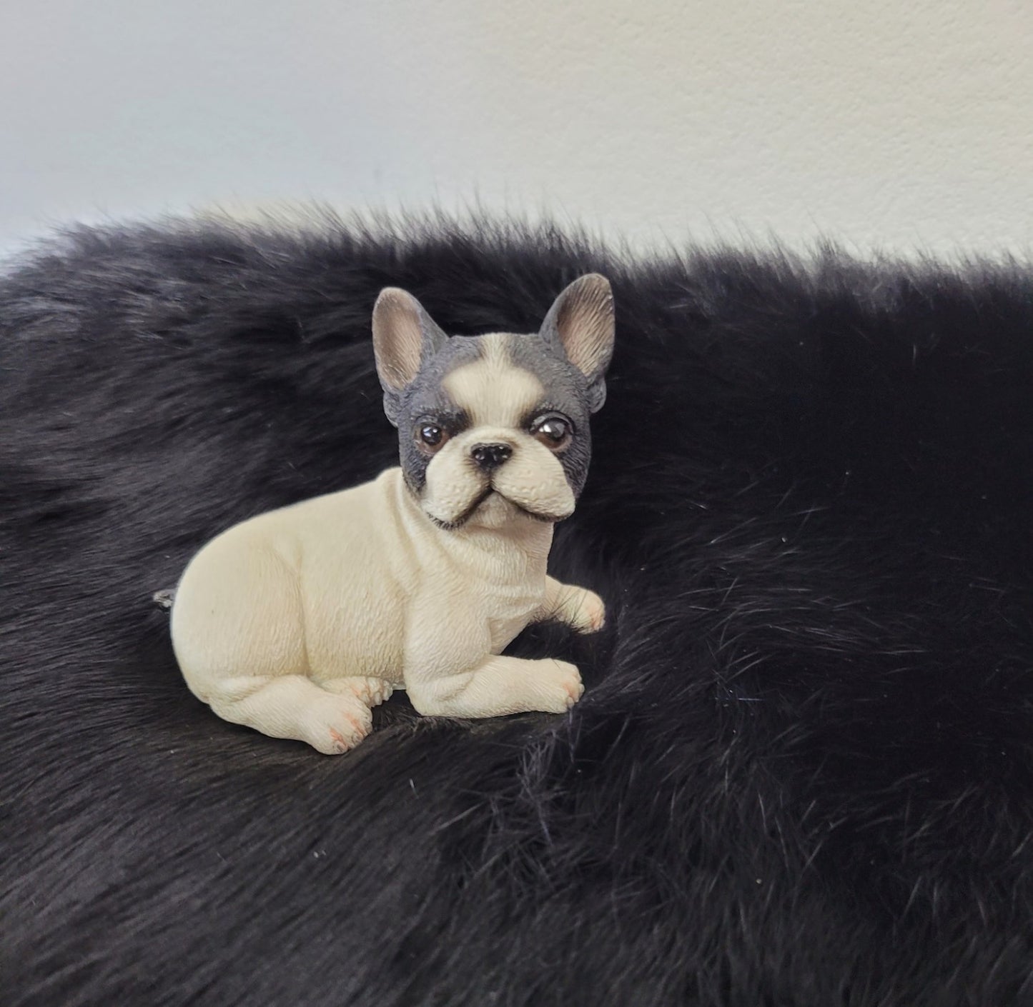 Je le veux! Bulldog français