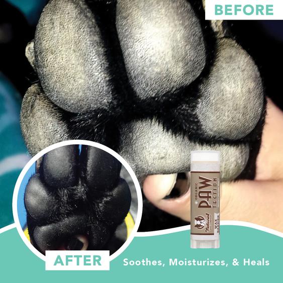 Natural Dog Company Organic Paw Protective Cream (Stick)