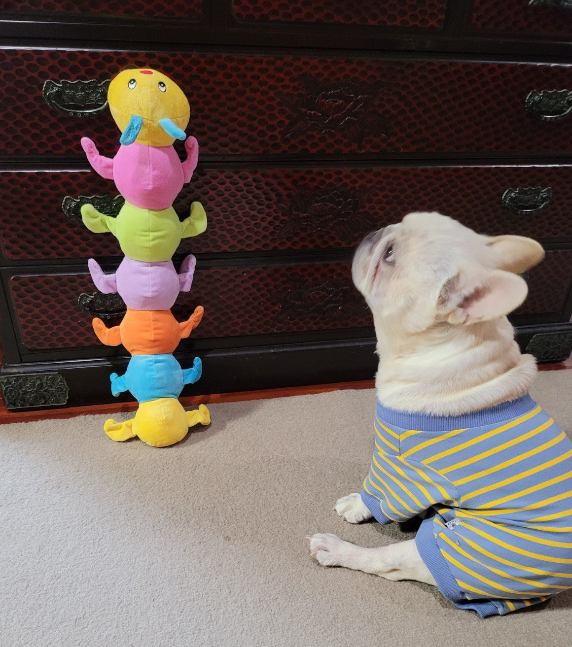 Dog toy caterpie series