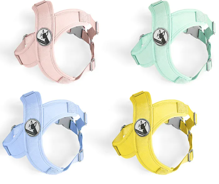 Ensemble de harnais/laisse Summer Macaron Color Step-in