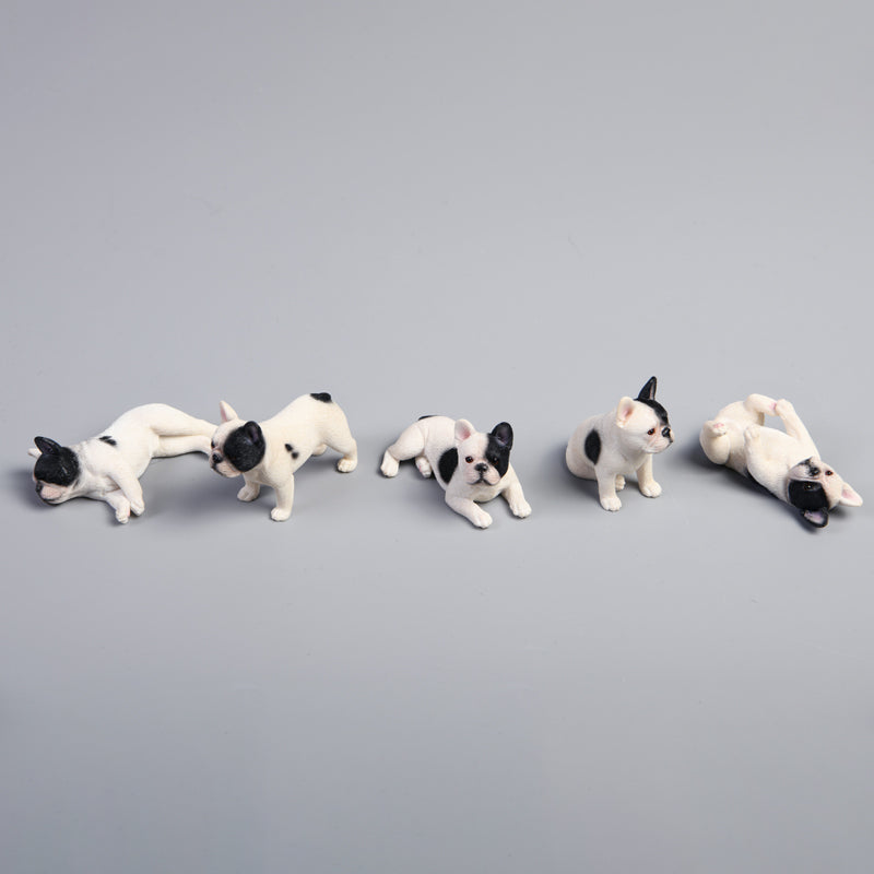 Lot de 5 mini bouledogues français