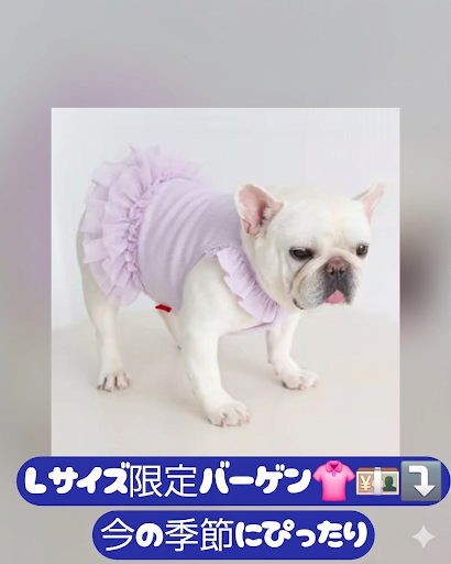 (なぜかMもセールになってるぽん！）主役になれるチュチュドレス