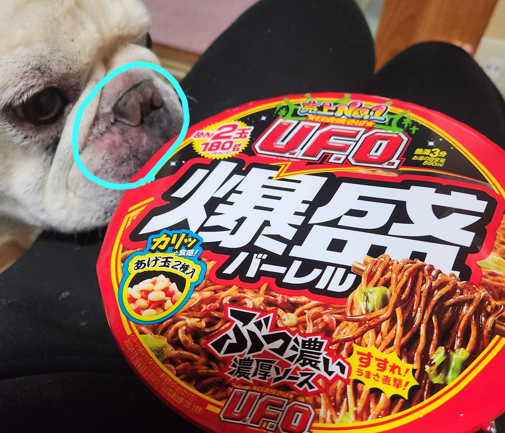 Natural Dog Company アレルイミューンサプリメント　