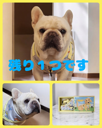 春色ハーネス＋リードセット、　バンダナ（別売）