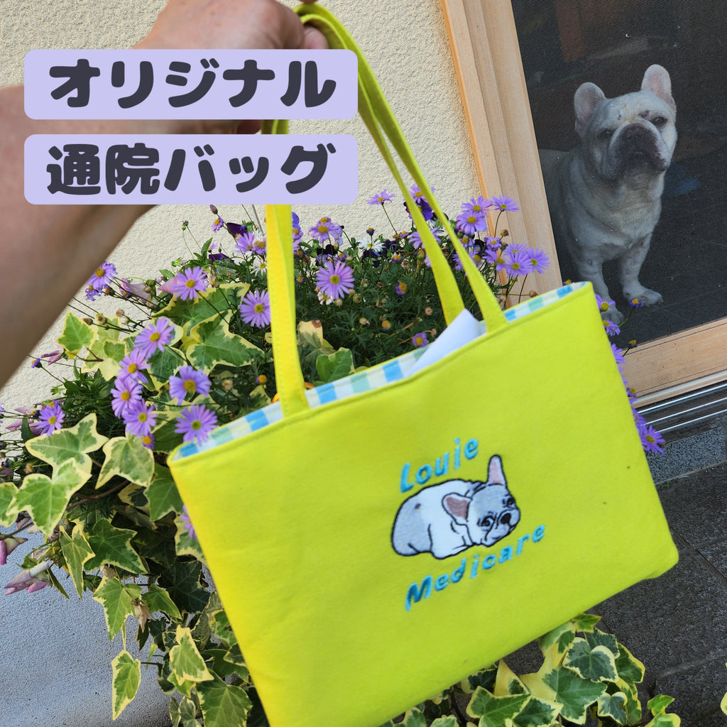 今だけ診察券ホルダー＋キラキラコネクトリング付通院バッグ