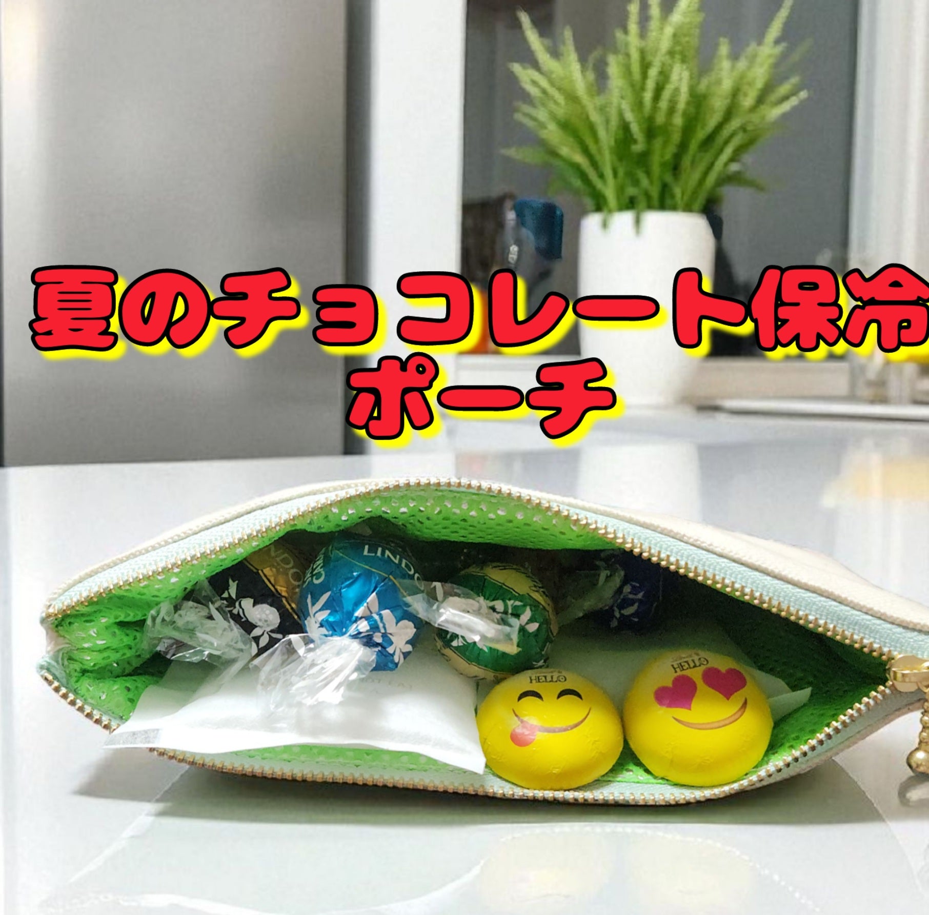 夏に沼るチョコレート保冷ポーチ
