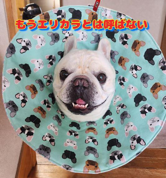 エリカラなんてもう呼ばせない！生地が選べるオカラ　OKARA!