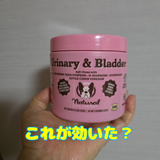 モニター価格でのトライアル販売です　　 送料５００円