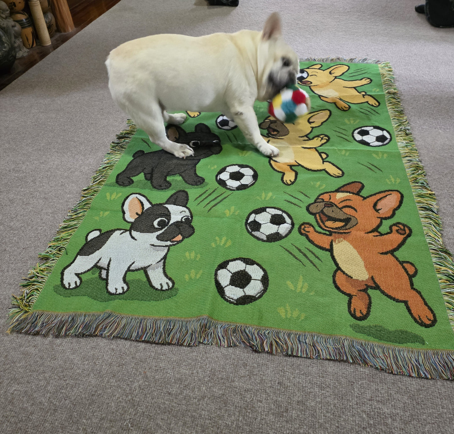 フレンチブル in サッカーパラダイス・スローケット（リバーシブル）