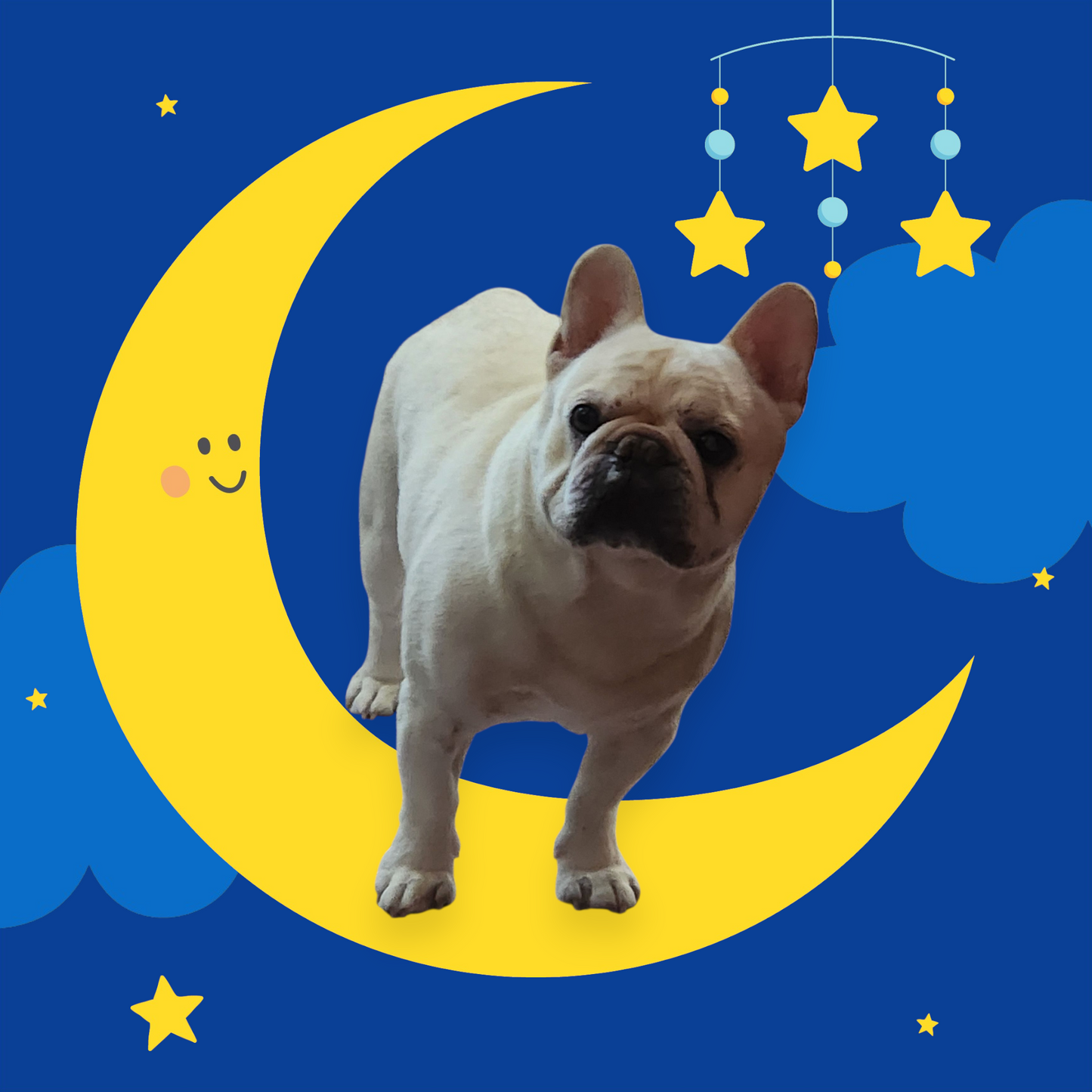 お好きな３点をお選びいただけます