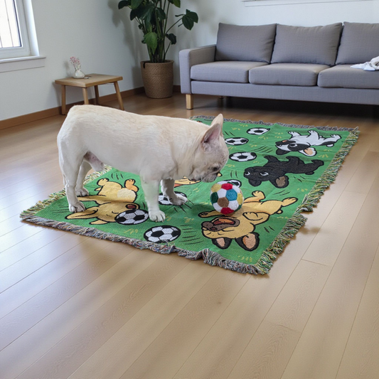 フレンチブル in サッカーパラダイス・スローケット（リバーシブル）