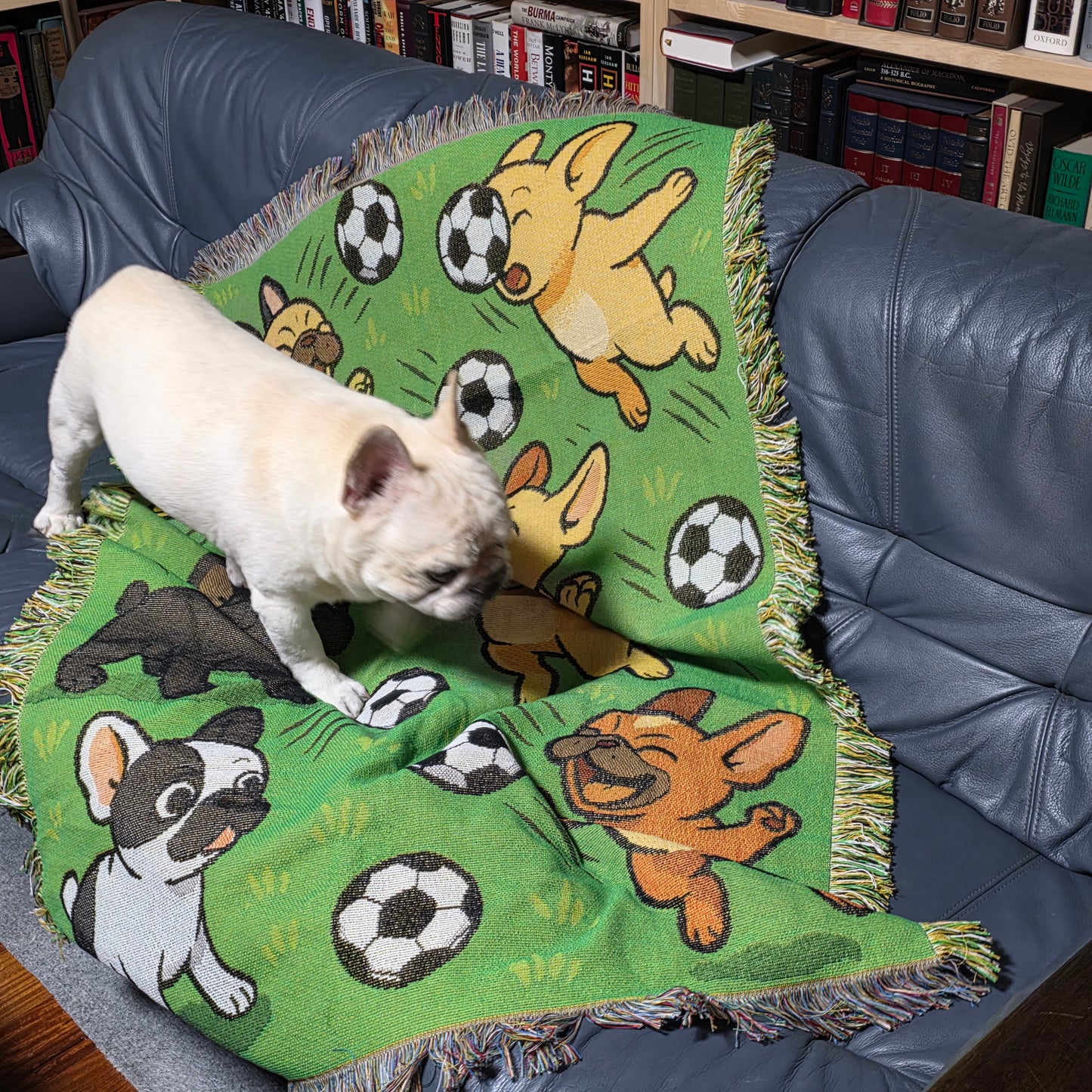 フレンチブル in サッカーパラダイス・スローケット（リバーシブル）