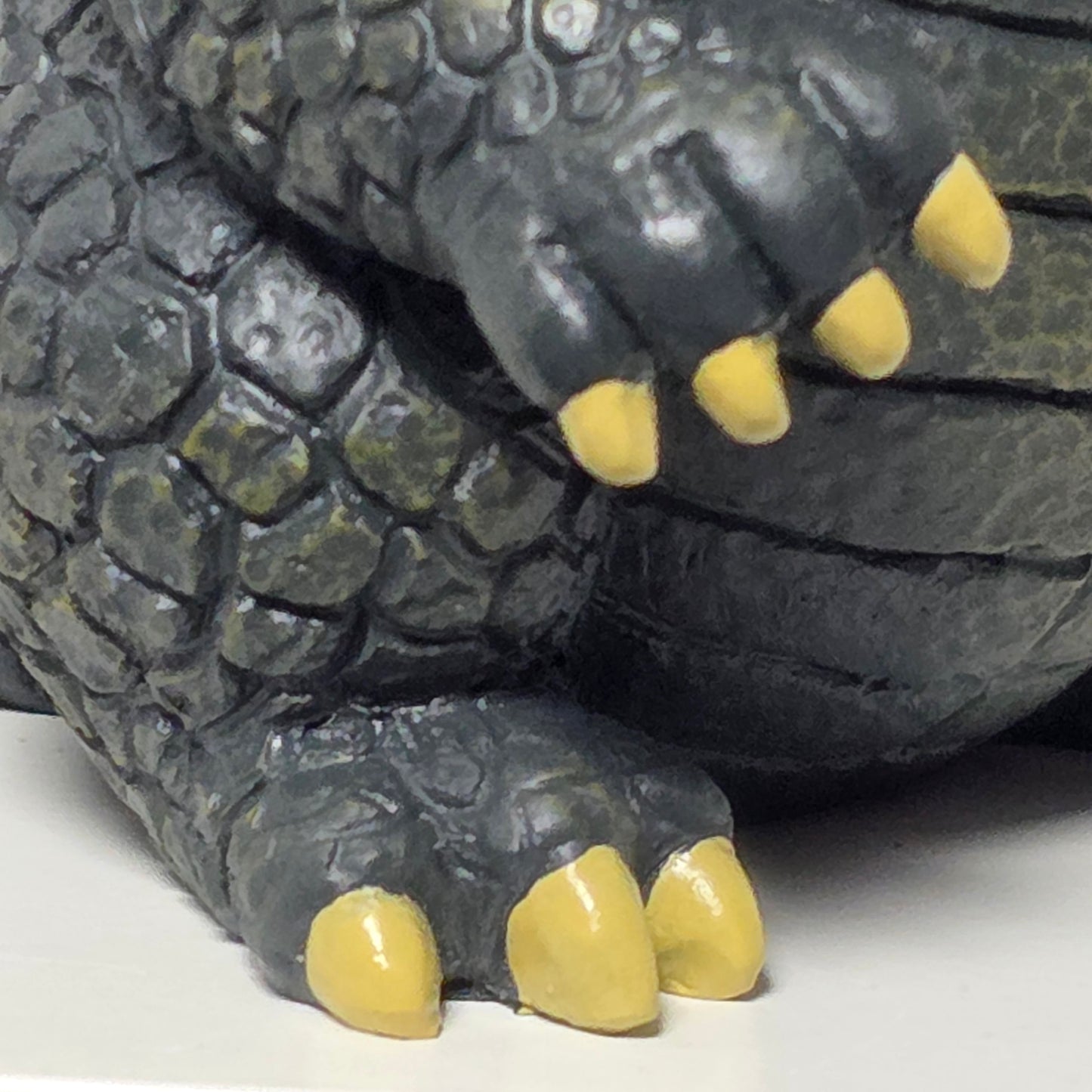 （ご予約限定品　pre-order）Monster French モンスターフレンチ