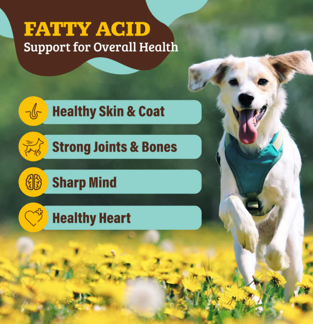 スーパーシーズ　Natural Dog Company Super Seeds