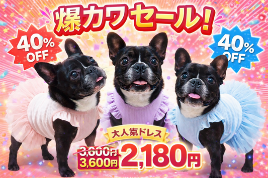 (なぜかMもセールになってるぽん！）主役になれるチュチュドレス