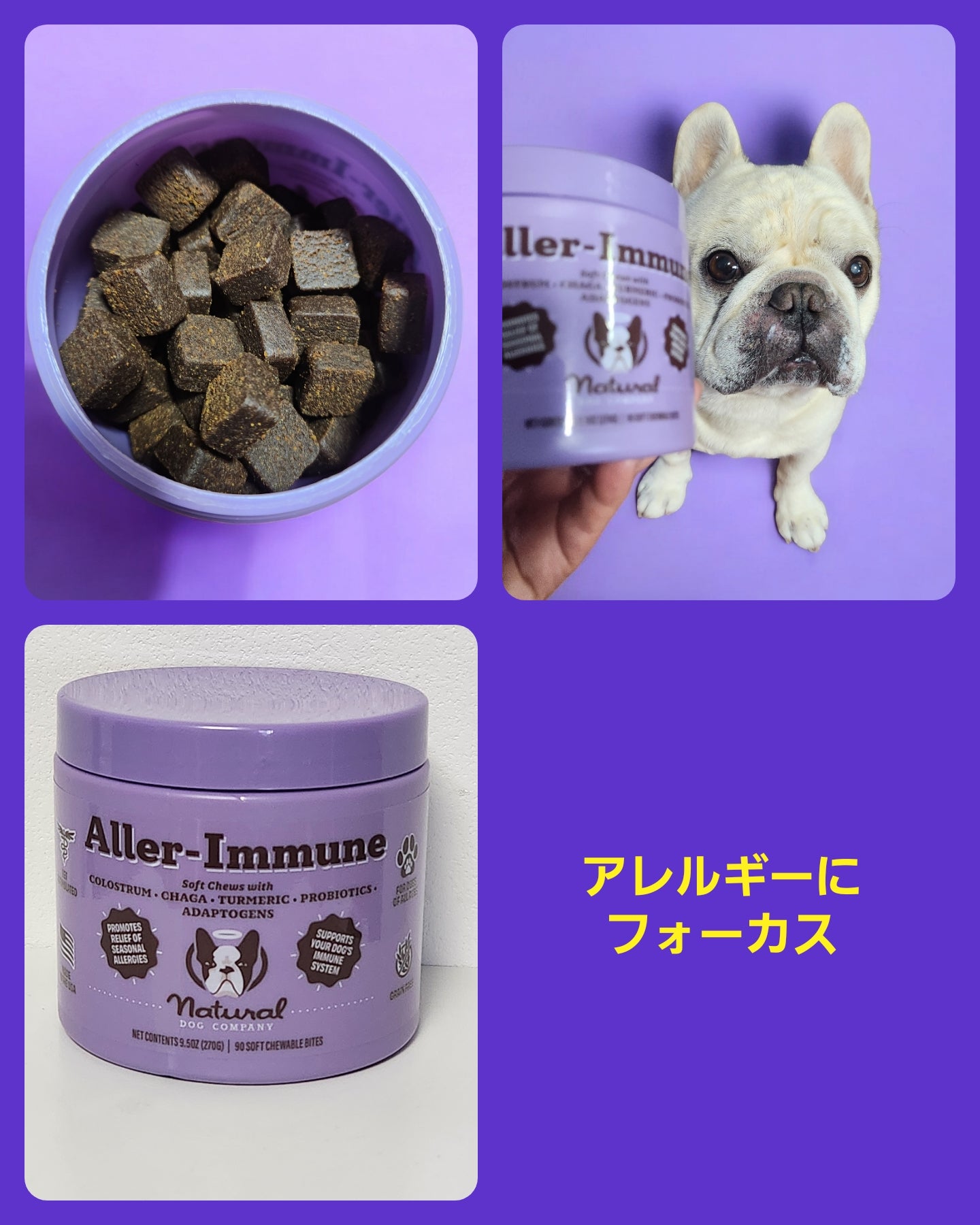 （ご予約）Natural Dog Company アレルイミューンサプリメント　