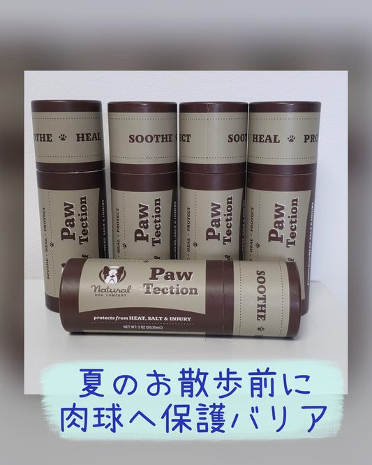 パウテクション　スティックタイプ
