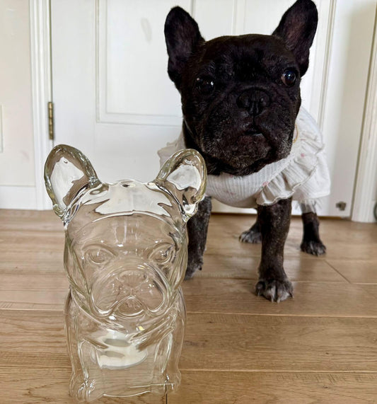 French Bulldog Glass Jar/home décor.