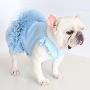 主役になれるチュチュドレス