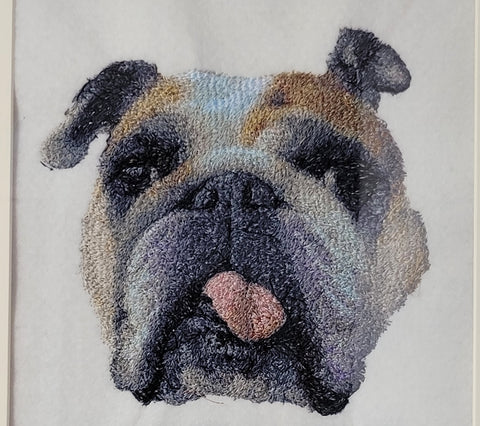 🌟 Photo Stitch Embroidery – Turn Your Favorite Memory into Art (aluminum frame)