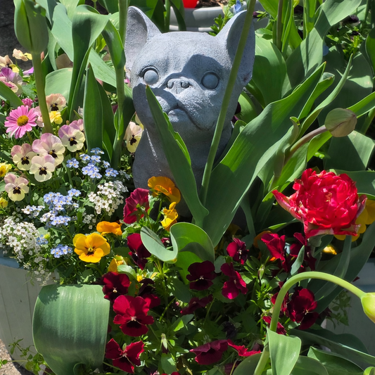 （送料無料）輸入ガーデンストーンでお庭をアップグレード！