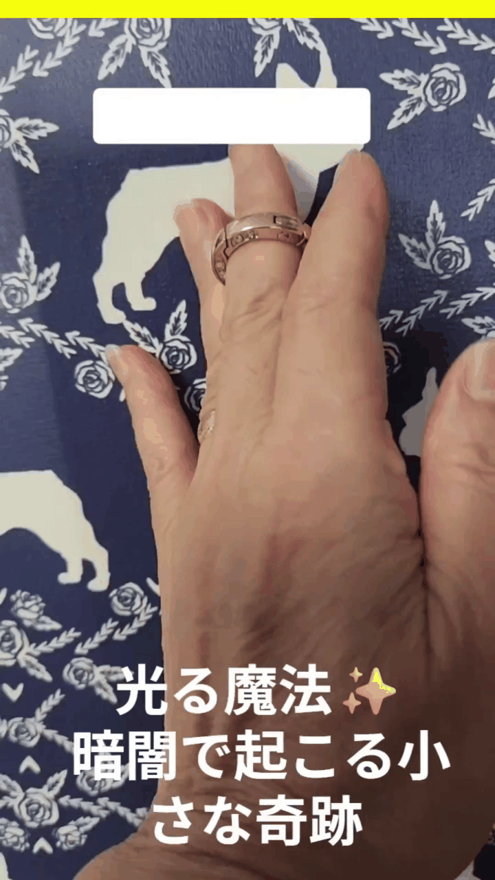 闇夜に光るネームタグ・チャーム　Glow Charm - Light  Up Your Night Walks