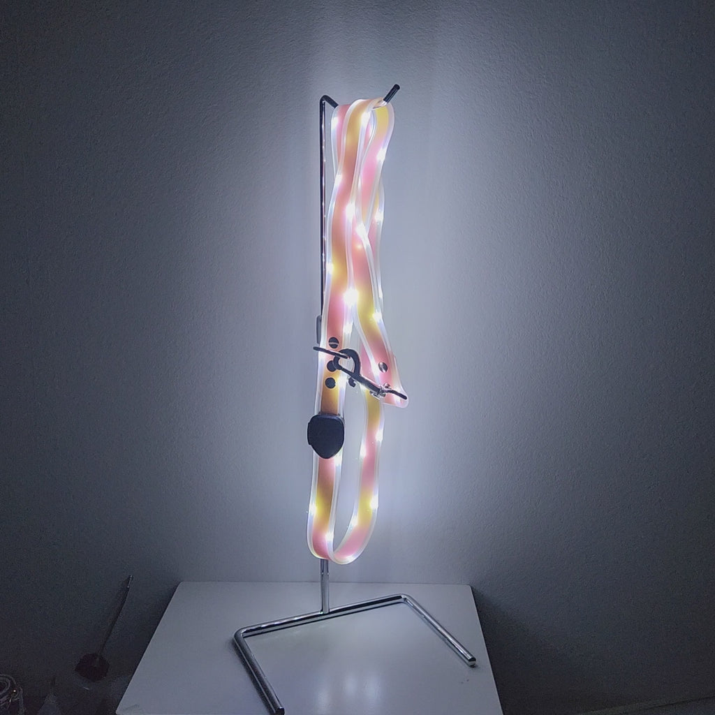 すごく明るく光ってきれい！夜も昼も雨も大丈夫！絶対買いな最強LEDリード