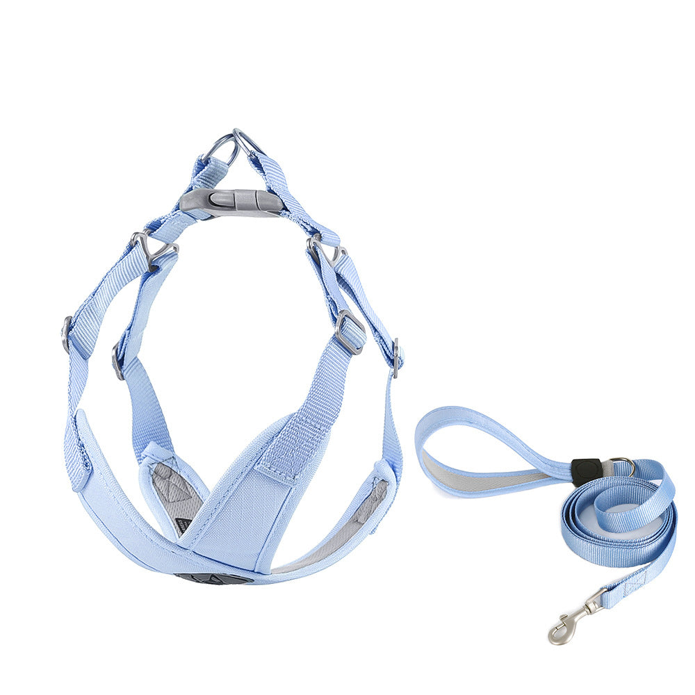Summer Macaron Color Step-in Harness / Lead Set