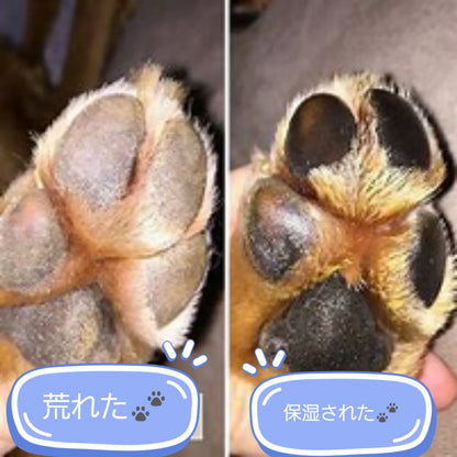 Natural Dog Company Paw Souser