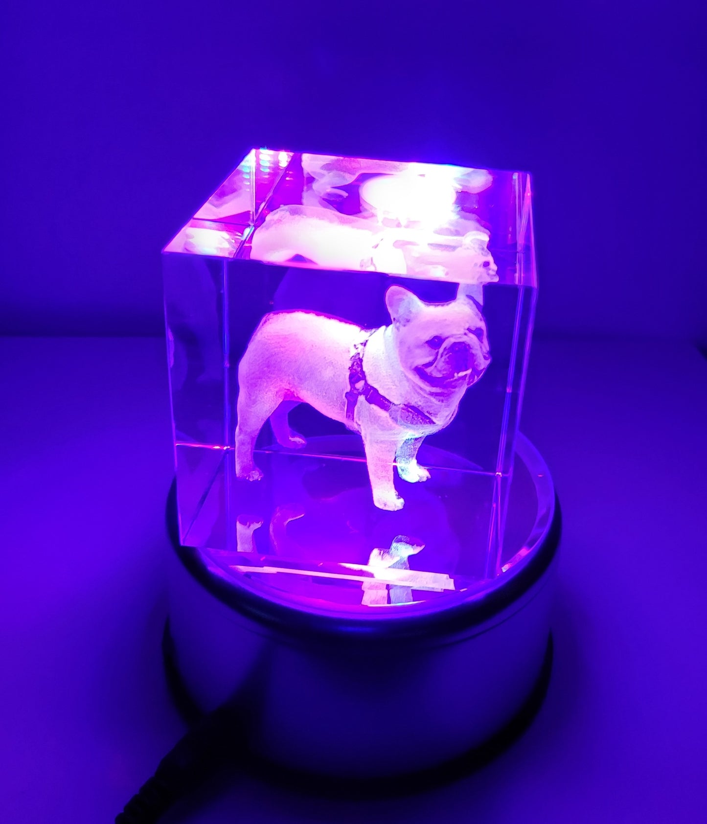 3D French Bulldog Image Crystal Paper Weight