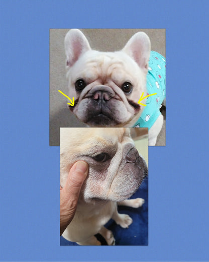 Natural Dog Company リンクルバーム