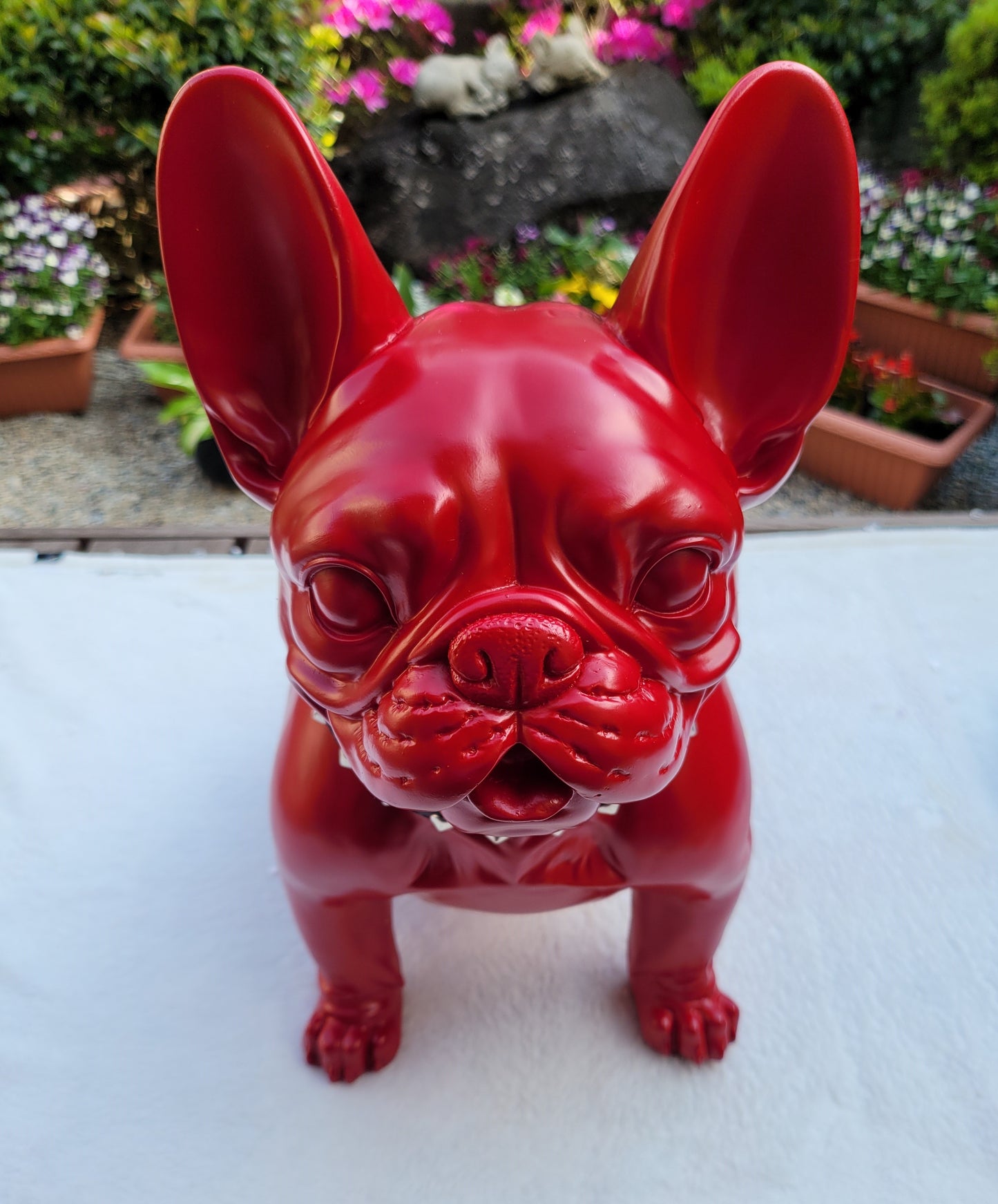 Colorful French Bulldog Free shipping only now!