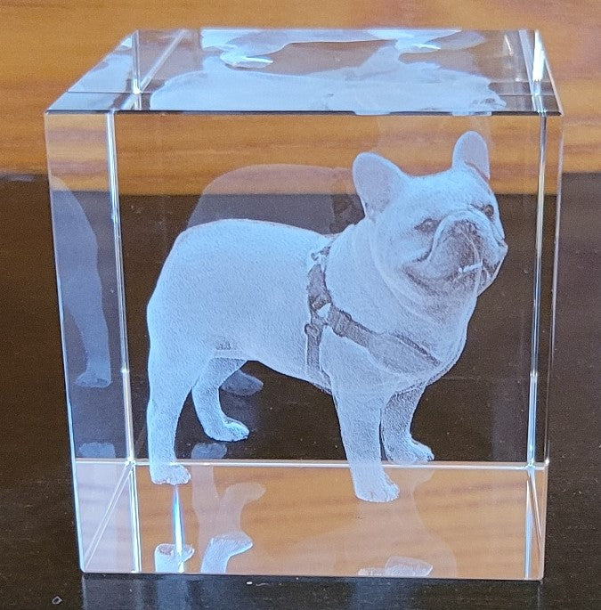 Presse-papier en cristal d'image de bouledogue français 3D