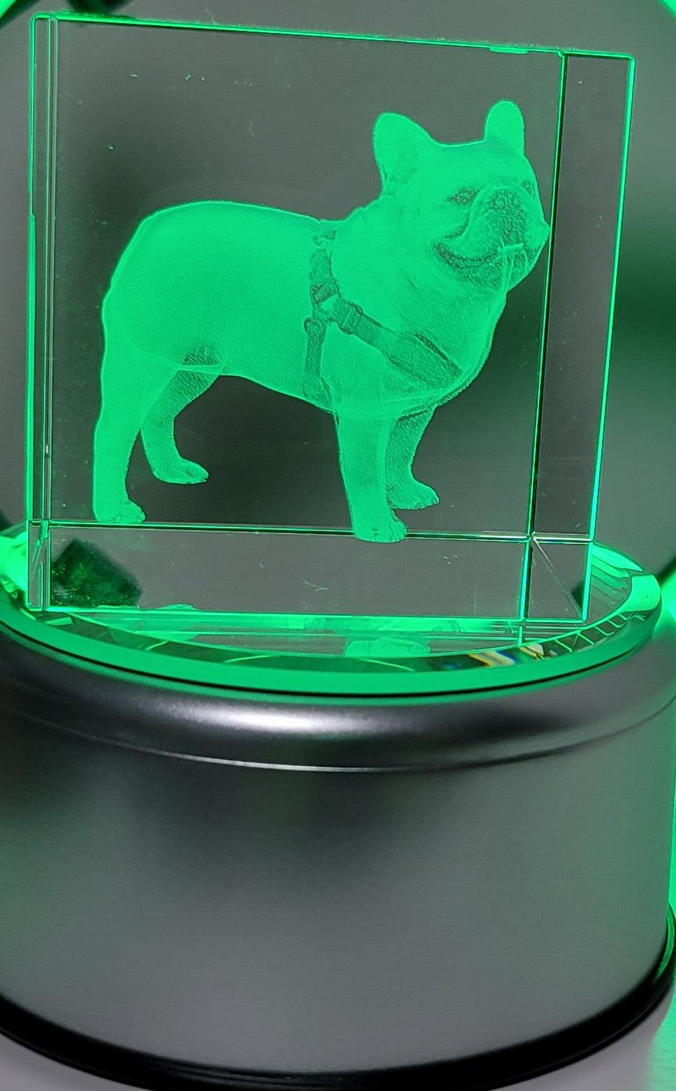 Presse-papier en cristal d'image de bouledogue français 3D