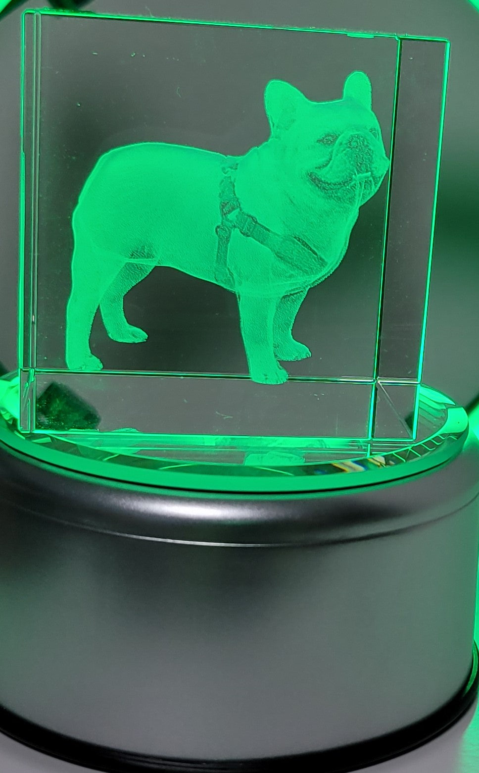 3D French Bulldog Image Crystal Paper Weight