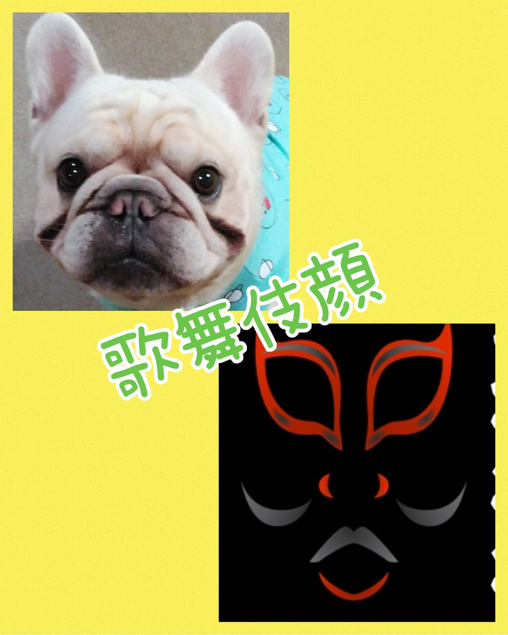 Natural Dog Company リンクルバーム　