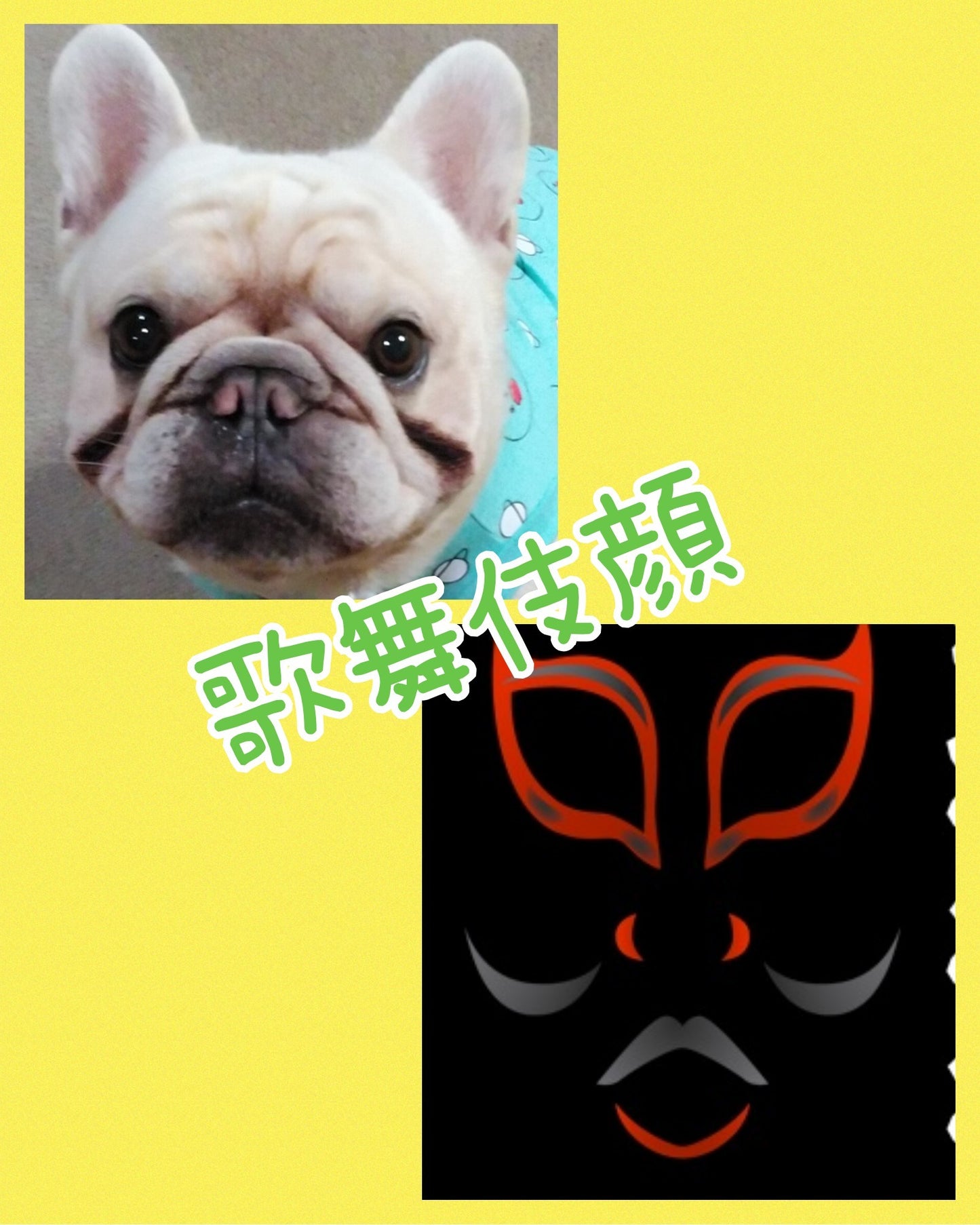 Natural Dog Company 抗皱膏