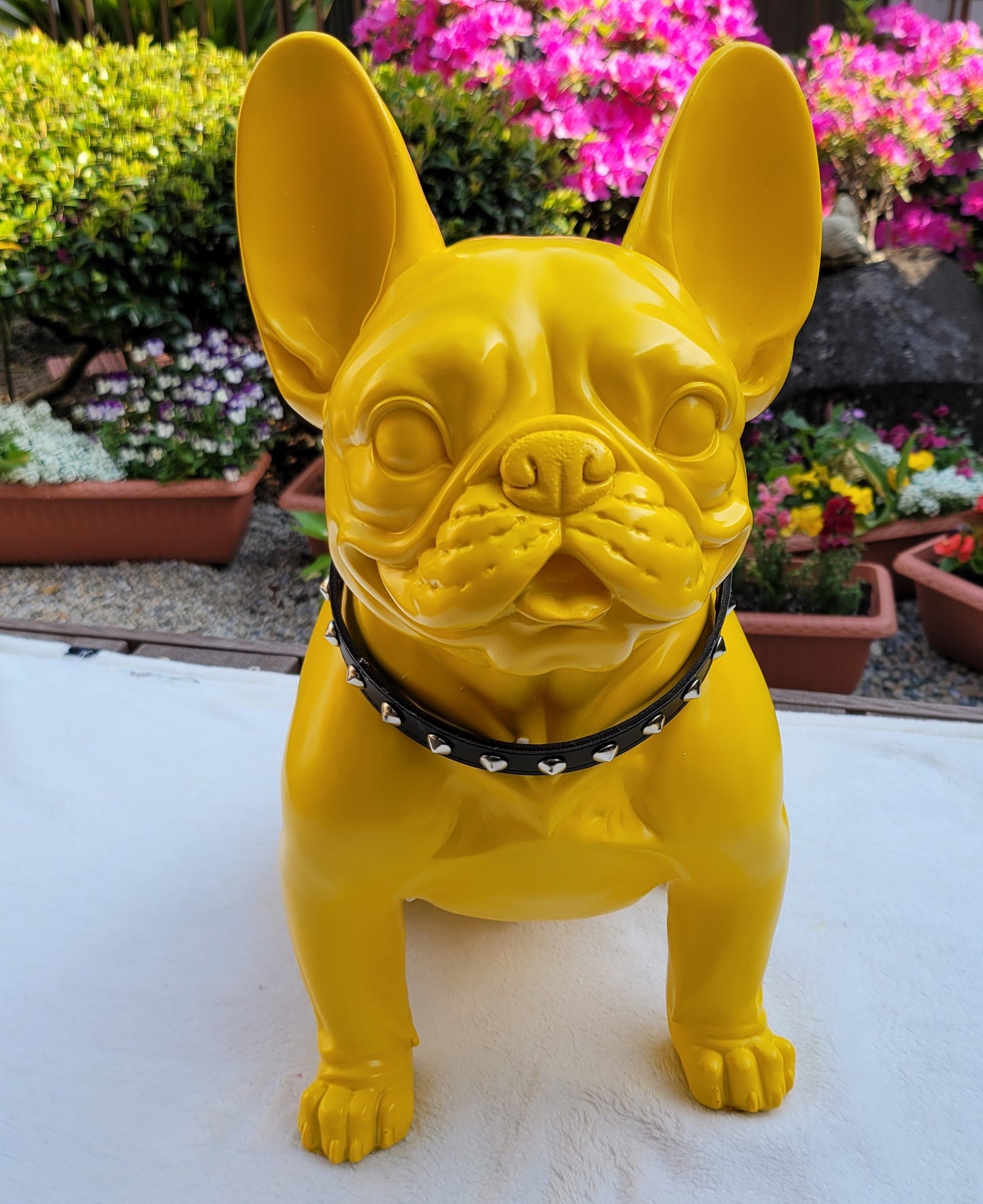 Colorful French Bulldog Free shipping only now!
