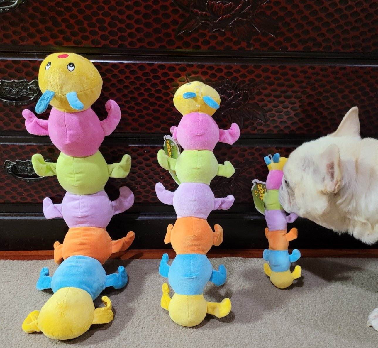 Dog toy caterpie series